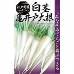 ӼҡԵ纬10ml͹б