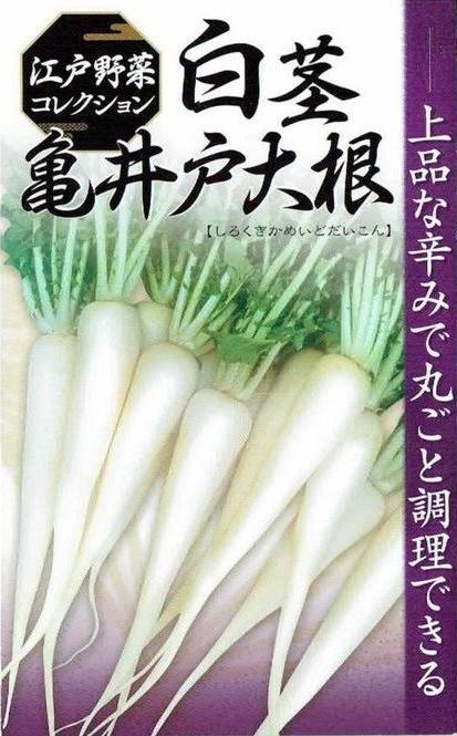 福種 ダイコン 赤長二十日大根 5ml 【郵送対応】