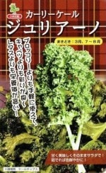 ���Ӽ��ġ����꡼�Υ����롡����ꥢ���Ρ�[�����̡���100γ]