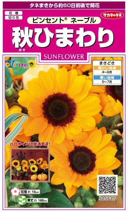 サカタのタネ 秋ひまわり ビンセントネーブル [内容量：約15粒