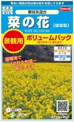 �������Υ��͡��ڤβ֡�����Ϻ��硡�ʴ��ѥܥ�塼��ѥå���5g��5ʿ��ʬ�ˡ�͹���б���