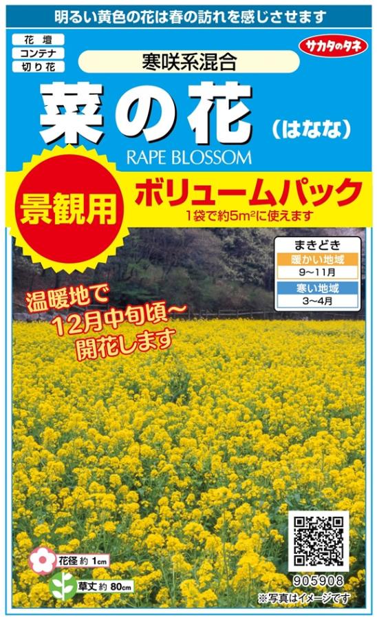 サカタのタネ 菜の花 寒咲系混合 景観用ボリュームパック 5g（5平米分