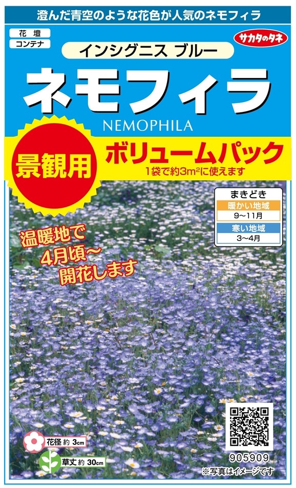 サカタのタネ ネモフィラ インシグニスブルー 景観用ボリュームパック
