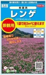 �������Υ��͡���󥲡�����ѡ��ʴ��ѥܥ�塼��ѥå���12g����3ʿ��ʬ�ˡʥ�󥲥�����ϡ���𡢥�󥲼�ҡ���󤲼�ҡ�