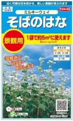 �������Υ��͡����ФΤϤʡ��ߥ륭�����������ʴ��ѥܥ�塼��ѥå���[�����̡�15g����5ʿ��ʬ��]