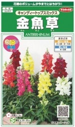 Υ͡𡡥ǥȥåץߥå30γ͹б