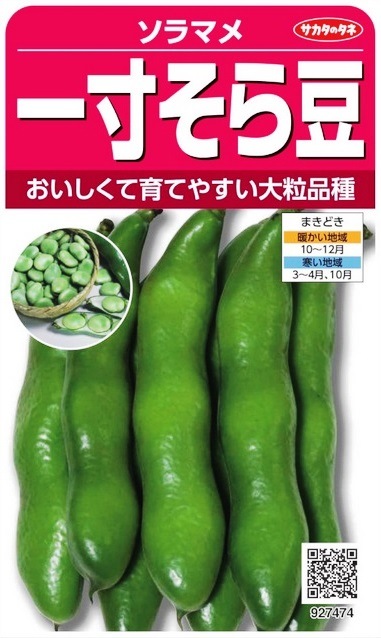 サカタのタネ 一寸そら豆 40ml【郵送対応】 | 【メーカー名からタネを