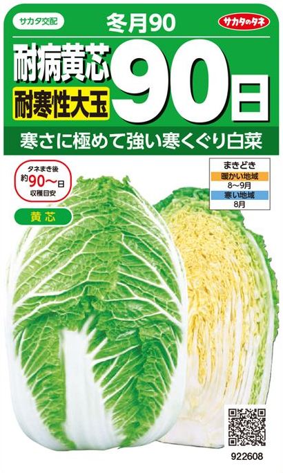 サカタのタネ 耐病黄芯耐寒性大玉90日白菜 冬月90 [内容量：0.9ml