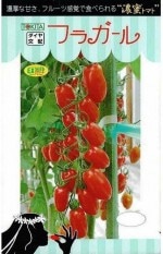 �ȥ������ġ��ߥ˥ȥޥȡ��ե饬���롡[�����̡���8γ]