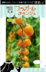 �ȥ������ġ��ߥ˥ȥޥȡ��ե饬���륪��󥸥���[�����̡���8γ]