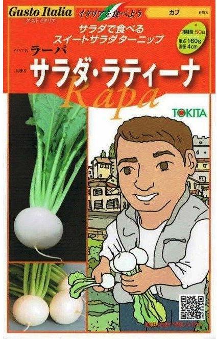 �ȥ������ġ������ȥ����ꥢ���顼�ѡ����������ƥ����� (����) [�����̡���200γ]