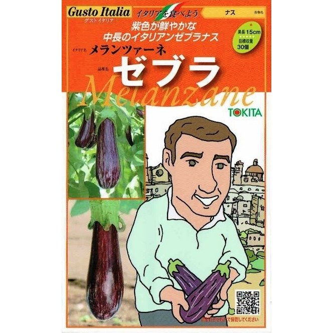 ȥġȥꥢĥ֥͡顡[̡8γ]
