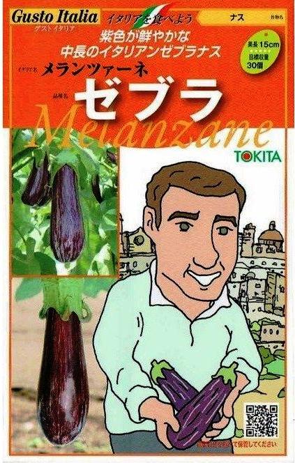 �ȥ������ġ������ȥ����ꥢ������ĥ����͡����֥� (�ʥ�) [�����̡���8γ]