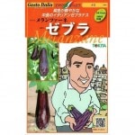 ȥġȥꥢĥ֥͡顡[̡8γ]