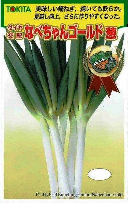 �ȥ������ġ��ͥ����ʤ٤���󥴡���ɡ�[�����̡�5ml]