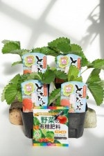 �������ġ֤Ȥ��ҤȤߡ�pvp�ˡ�4�ܥ��åȡ������ա�9cm�ݥå��ġ�10���ܡ�11���ȯ����