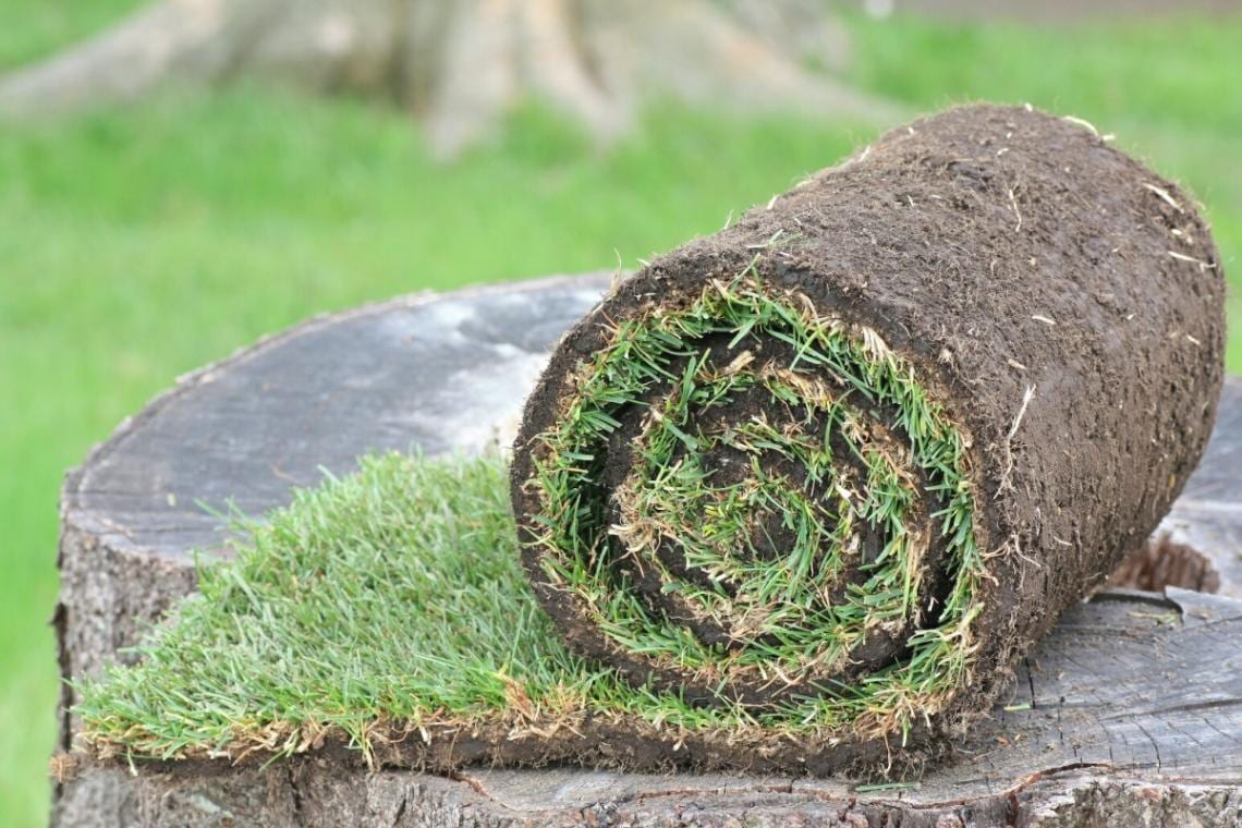 μ åɡڼǡ ֥ӥХա 1ʿʬ170cm30cm 2 ˥륿աڥ᡼ľ