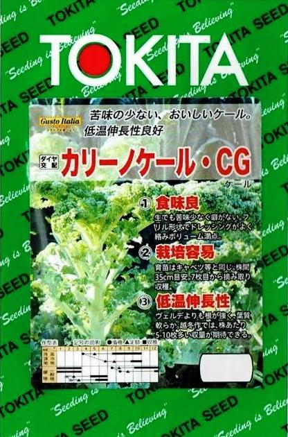 �ȥ������ġ������ȥ����ꥢ�����꡼�Υ����롦CG[�����̡���200γ]