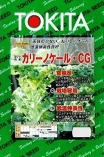 �ȥ������ġ������ȥ����ꥢ�����꡼�Υ����롦CG[�����̡���200γ]