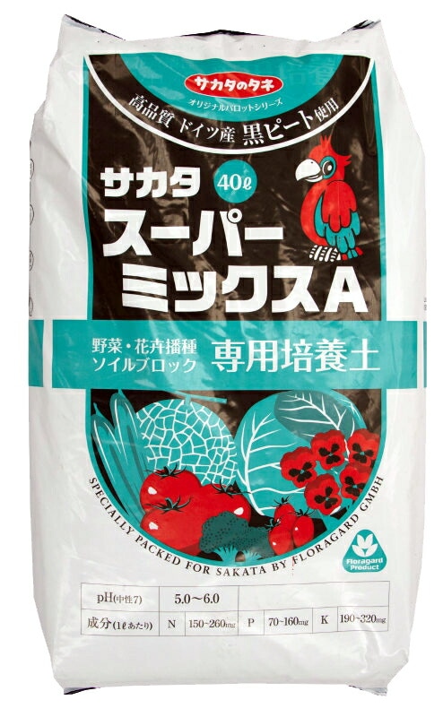 �������Υ��͡���ڡ������ż���������ڡ������ѡ��ߥå�������������åȥ롡������̵����