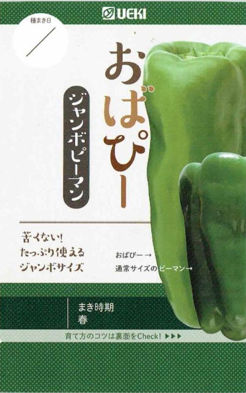 横浜植木 ジャンボピーマン おばぴー 約12粒【郵送対応】