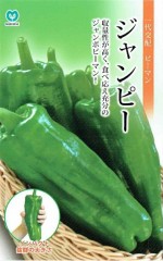 �ݼ�����ܥԡ��ޥ󡡥����ԡ�����30γ ��͹���б���