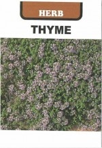 ƣ�ļ�ҡ����꡼�ԥ󥰥����ࡡ0.3ml