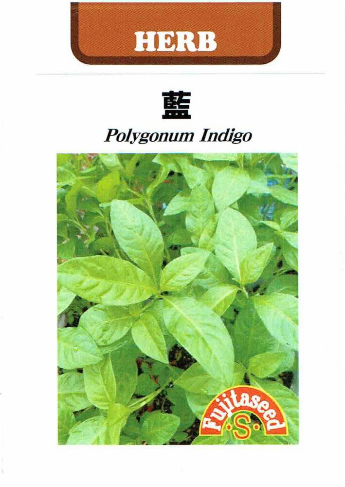 藤田種子 アイ（藍）のタネ 2ml（約400粒） | 【メーカー名からタネを