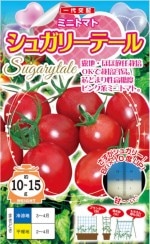 ʥȼġߥ˥ȥޥȡ奬꡼ơݥ롡15γ ͹б