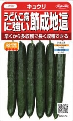 �������Υ��͡����ɤ��¤˶����������祭�奦�ꡡ��36γ��͹���б���