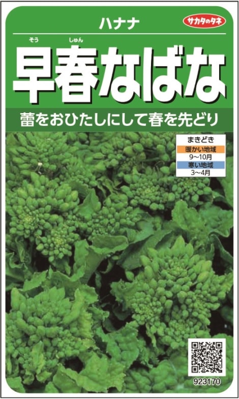 ばななざるページ サカタのタネ 早春なばな 4.8ml | 【メーカー名からタネを探す（あ～た