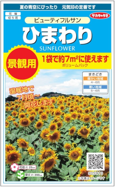 サカタのタネ 景観用ひまわり ビューティフルサン 10g【郵送対応