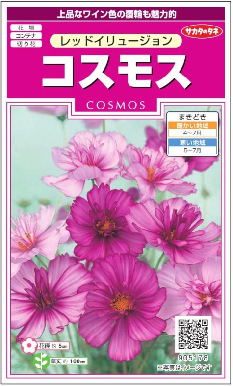 サカタのタネ コスモス ドワーフセンセーションミックス 2ml 【郵送対応】