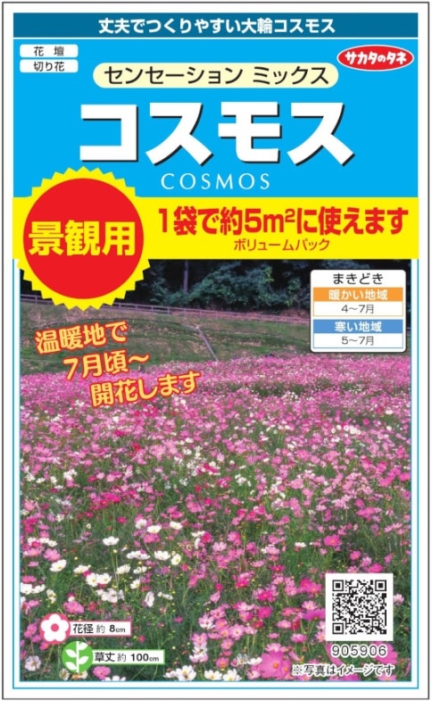 サカタのタネ 景観用コスモス センセーション ミックス 8g【郵送対応】