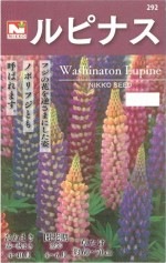 ġԥʥΥ[̡0.5ml]292