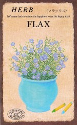 �������ġ��ϡ��֥֡ե�å�����844�ۡפΥ��͡�[�����̡�0.3ml]