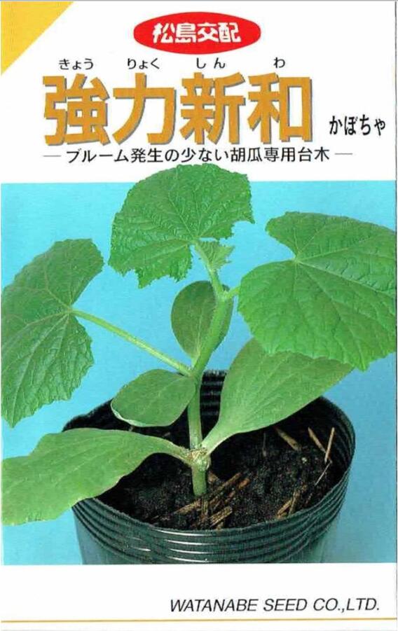 ���պμ�졡���奦���������ڥ��ܥ��㡡���Ͽ��¡���25γ