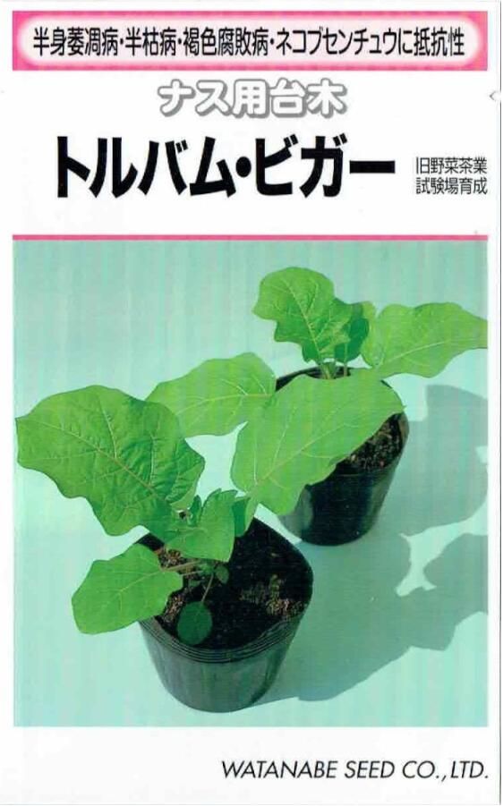 ���պμ�졡�ʥ������ڡ��ȥ�Хࡦ�ӥ�����[�����̡���250γ]