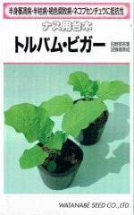 ���պμ�졡�ʥ������ڡ��ȥ�Хࡦ�ӥ�����[�����̡���250γ]