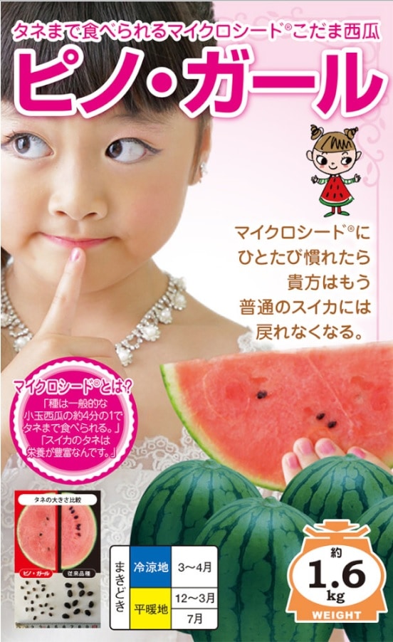 �ʥ�ȼ��ġ����̥��������ԥΡ������롡��5γ