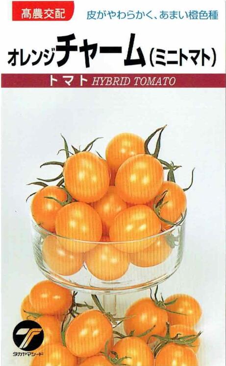 ޥɡߥ˥ȥޥȡ󥸥㡼ࡡ0.1ml