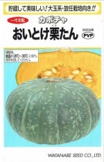 ���պμ�졡���ܥ��㡡�����Ȥ���������9γ���ʼ�̾�������Ȥ�������_��Ͽ�ֹ桧��32781��_�������жػߡ�