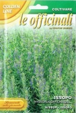 ��FRANCHI�ҡۡ�76/1�ۥҥ��åס�3g
