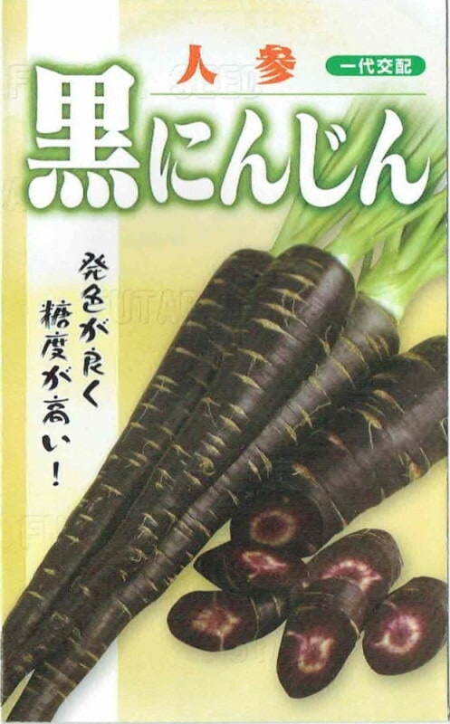 フタバ種苗 黒にんじん コート種子約300粒【郵送対応】 | 【メーカー名