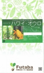 �ե��м��� �ѥѥ��� �ϥ磻�������� ��10γ��͹���б���