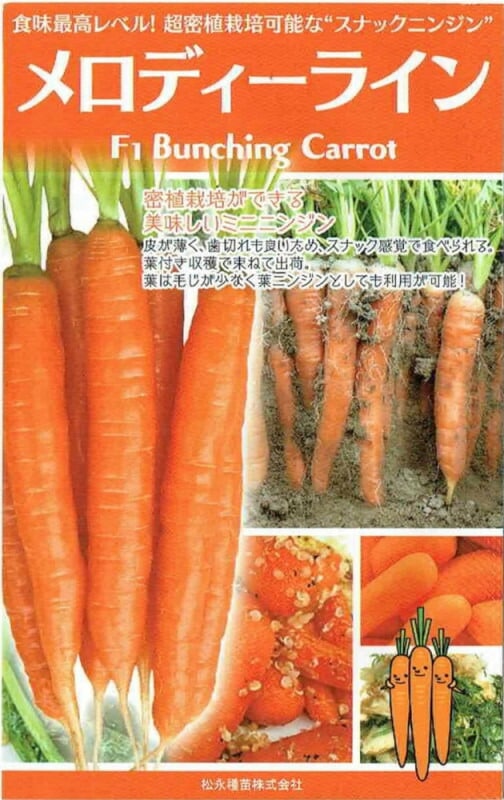 22年のクリスマス 藤田種子 小袋 ミニキャロット 丸型 葉菜