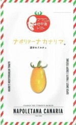 ʥƥåɡޥ泤ȥޥȡʥݥ꥿ʥʥꥢΥ[̡8γ]