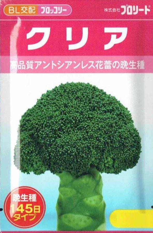 �֥��꡼�ɡ��֥��å��꡼ ���ꥢ ��100γ��͹���б���