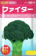 �֥��꡼�ɡ��֥��å��꡼ �ե������� ��100γ��͹���б���