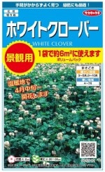 �������Υ��� �ʴ��� �ۥ磻�ȥ������С� 35g��͹���б���